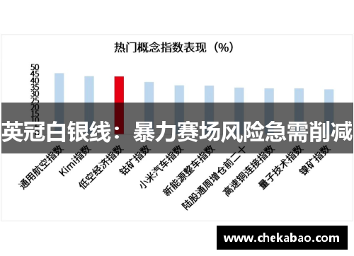 英冠白银线：暴力赛场风险急需削减